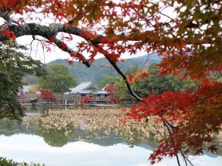 Pemandangan Daikakuji dari seberang kolam Osawa