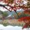 Autumn at Daikaku Temple