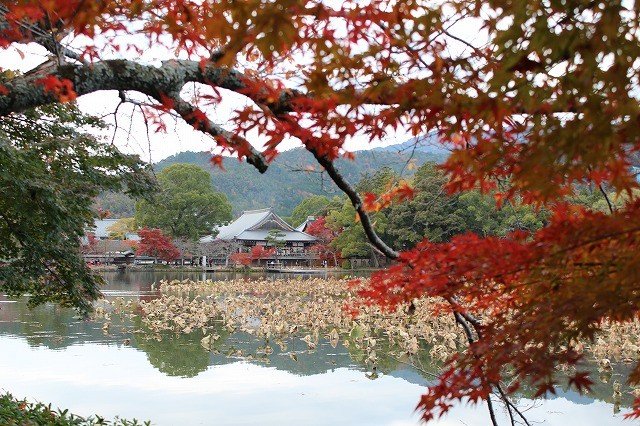 <p>Viewing Daikakuji from the opposite side of Osawa Pond</p>