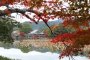 Musim Gugur di Daikakuji