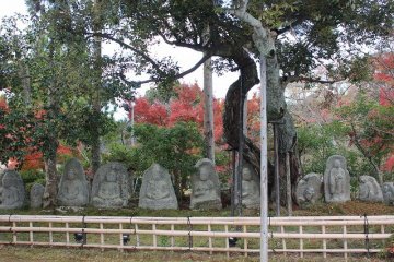 <p>Several stone Buddhist statues nestled quietly under a tree</p>