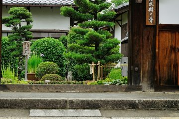 <p>Myoshinji Temple, the head temple of Rinzai School of Zen Buddhism, is a gigantic complex of 48 small temples in Kyoto. This &#39;Temple of Sala Tree&#39;, Torin-in, is one of the 48 under the umbrella of Myoshinji Temple. When I visited, many tourists were there to enjoy beautiful flowers</p>