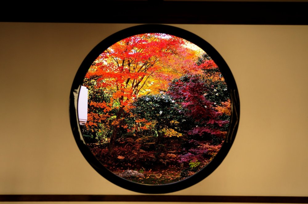 What I saw from the &#39;Window of Satori (Spiritual Awakening)&#39; was brilliance