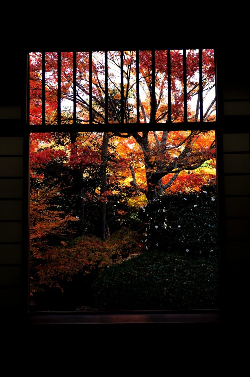 Saya bermeditasi di &#39;Window of Mayoi (Pikiran Bermasalah)&#39; dalam keadaan seperti Zen