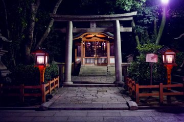 <p>Torii gates guard the sanctuaries of the shrine</p>