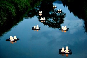 Lit-up lanterns flowing down the Ichijodani River
