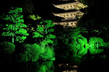 Gorgeous Pagoda Looming in the Dark