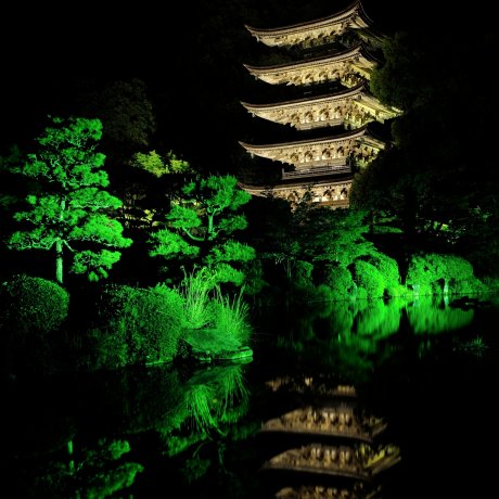 Ngôi chùa tuyệt đẹp lờ mờ trong bóng tối