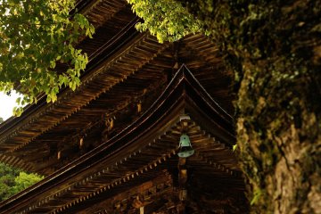 <p>When you get closer to the pagoda and change the angle, its massive presence overwhelms you</p>
