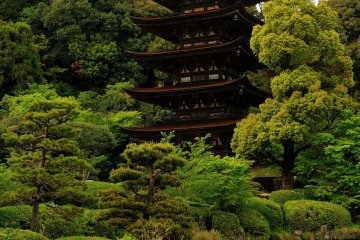 <p>The pagoda&#39;s beautiful cypress bark roof and its wooden architecture take your breath away</p>
