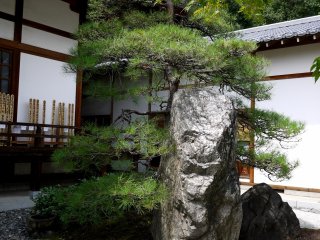 A large rock standing in the garden