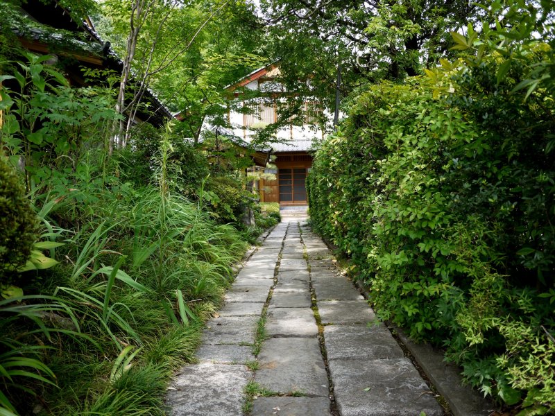 <p>Path leading to one of the temple buildings</p>
