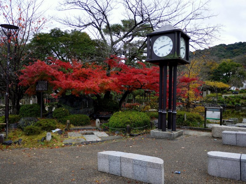 <p>A clock stands in front of a blaze of maple &nbsp;</p>