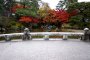 Autumn at Maruyama Park