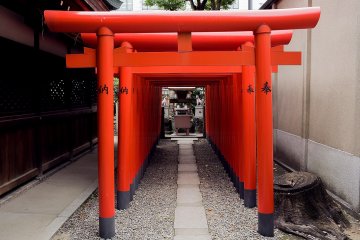 <p>Fushimi Inari 2.0? Osaka Tenmangu Shrine also has rows of torii gates.</p>