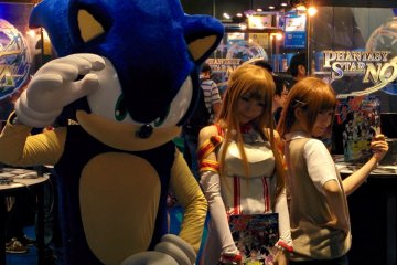 <p>Sonic and friends</p>