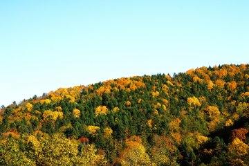 <p>The sky was blue and high...great weather for viewing autumn leaves!</p>