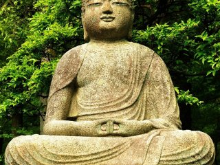 When you pass the main gate and Kyoyochi Pond, and walk along the pathway leading to the administration office (the&nbsp;Kuri building), you&#39;ll find this stone statue of Buddha on your left