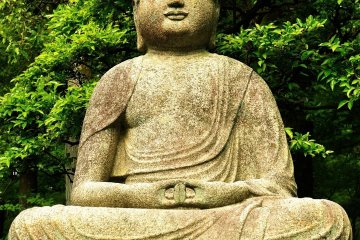 <p>When you pass the main gate and Kyoyochi Pond, and walk along the pathway leading to the administration office (the&nbsp;Kuri building), you&#39;ll find this stone statue of Buddha on your left</p>