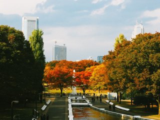Selamat datang di Taman Yoyogi, terlihat dedaunan berwarna-warni musim gugur, kolam dan air mancur di tengah taman, dan pengunjung yang sedang beraktivitas.