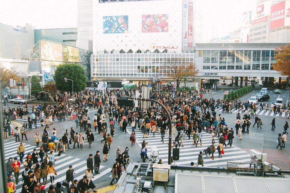 View of Shibuya Crossing from a coffee shop on the second floor. &nbsp;How busy it is!