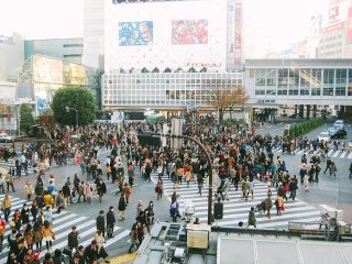 View of Shibuya Crossing from a coffee shop on the second floor. &nbsp;How busy it is!