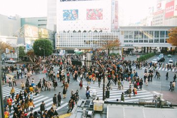 <p>View of Shibuya Crossing from a coffee shop on the second floor. &nbsp;How busy it is!</p>
