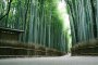 Arashimaya y el bosque de bambú