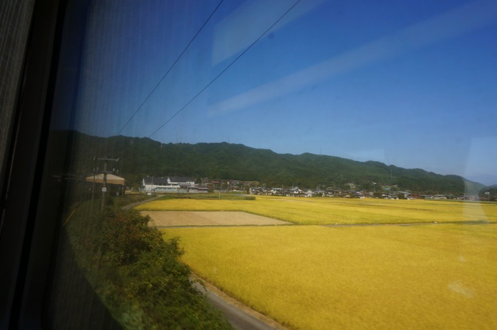 โชว์หน้าต่างกว้างบน (wide view) hida ไป takayama