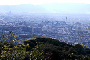 <p>Отсюда видно башню Киото</p>