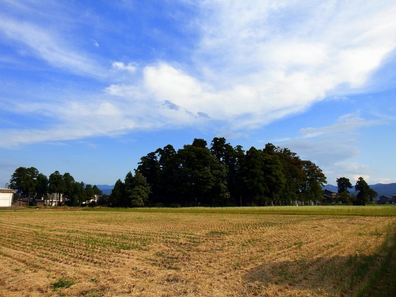 <p>Anrakuji Temple stands in a rice field, in the middle of nowhere</p>