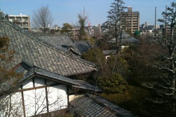 Rooftop view over the Toganji Temple complex.