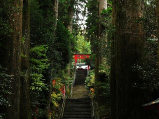 Khi bạn đi qua lối đi với hàng cây tuyết tùng cổ thụ ở cả hai phía và leo lên cầu thang đá dài của con đường chính, bạn sẽ trông thấy cổng torii thứ năm