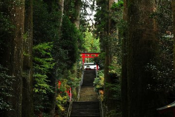 <p>When you walk through this path lined with ancient cedar trees on both sides and climb the long stone stairs of the main path, you&#39;ll see the fifth torii gate</p>