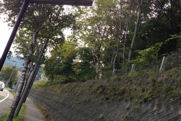 A sign along Kita-Ichijo Miyanosawa Dori points toward the trailhead