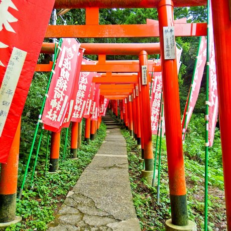 Sanctuaire Sasuke Inari à Kamakura