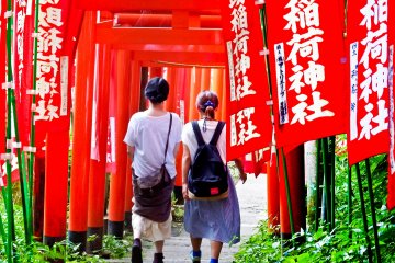 <p>Two visitors gradually disappearing into a thick sea of red torii&nbsp;(gates)</p>