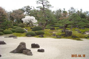 Dry landscape Japanese garden