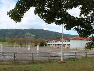 'Trại Ngựa' không chỉ có chuồng ngựa của công viên mà còn có chuồng ngựa của tư nhân và các trường trung học liên kết với Viện Công nghệ Fukui. Những buổi tập cưỡi ngựa cũng được tổ chức tại đây