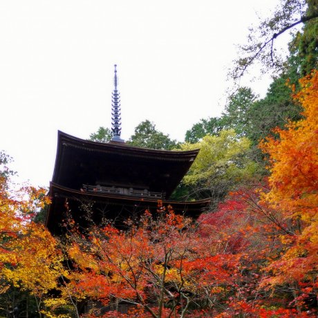 Tòa tháp và chính điện ở chùa Kongorin