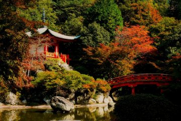 Autumn at Daigo Temple