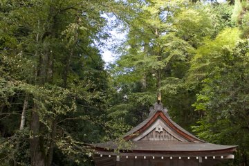 <p>เรือนไม้อันเก่าแก่นี้ก็คือตัวศาลเจ้าคิบุเนะอันดั้งเดิมที่ตั้งอยู่ด้านในสุดปลายถนนของหมู่บ้านคิบุเนะ ศาลเจ้านี้มีอายุกว่า 1,600 ปี ซึ่งถือว่าเก่าแก่กว่าอายุของเมืองเกียวโตเลยทีเดียว</p>