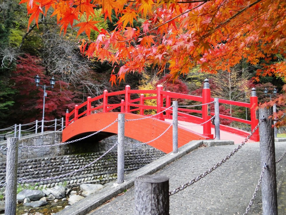 A red bridge is a colorful highlight in a stroll of Ujo Park