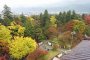 Thành Tsuruga vào mùa thu