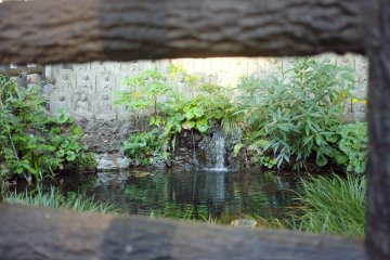 <p>The beautiful pond</p>