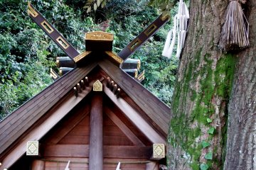 <p>Roof ornaments behind a sacred tree</p>