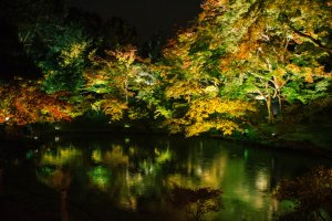高台寺横の池に映り込むライトアップされた紅葉