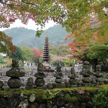 京都「化野念仏寺」を巡り歩く～４