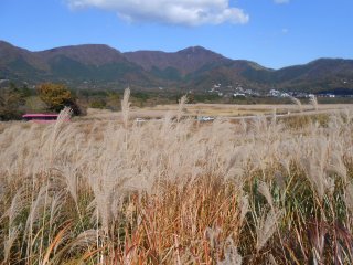 In Hakone, a volcano was active in old days. The far-off mountains are parts of the outer rim of a volcanic crater at that time.