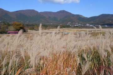 <p>In Hakone, a volcano was active in old days. The far-off mountains are parts of the outer rim of a volcanic crater at that time.</p>